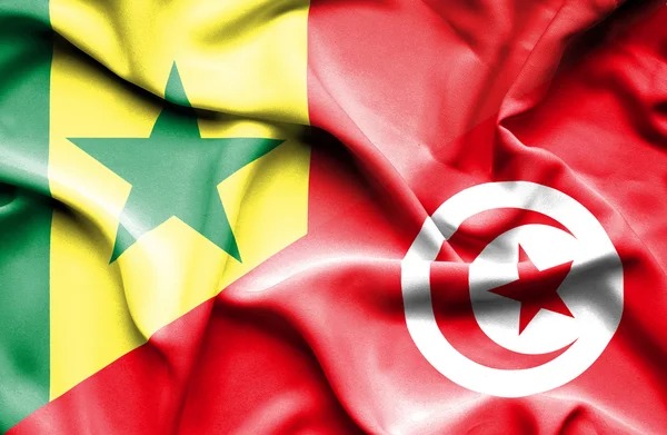 Le ministre de la Défense s’entretient avec son homologue sénégalais